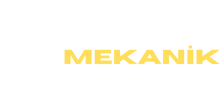 NERGİS